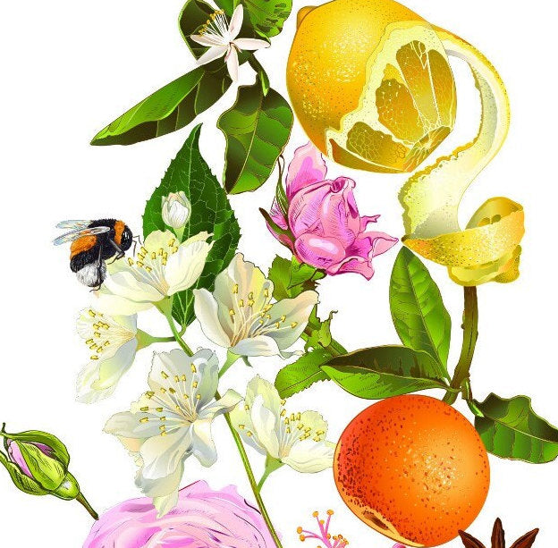 Easy Furniture Transfer - Decor Transfer - Furniture Upcycling - Floral Transfer - Herbal Orange Lemon