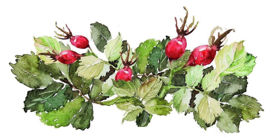 Easy Furniture Transfer - Decor Transfer - Furniture Upcycling - Floral Transfer - Christmas Plant