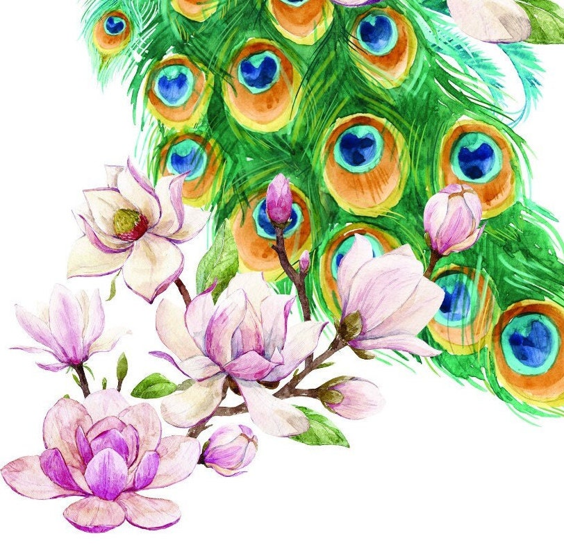 Easy Furniture Transfer - Decor Transfer - Furniture Upcycling - Floral Transfer - Peacock