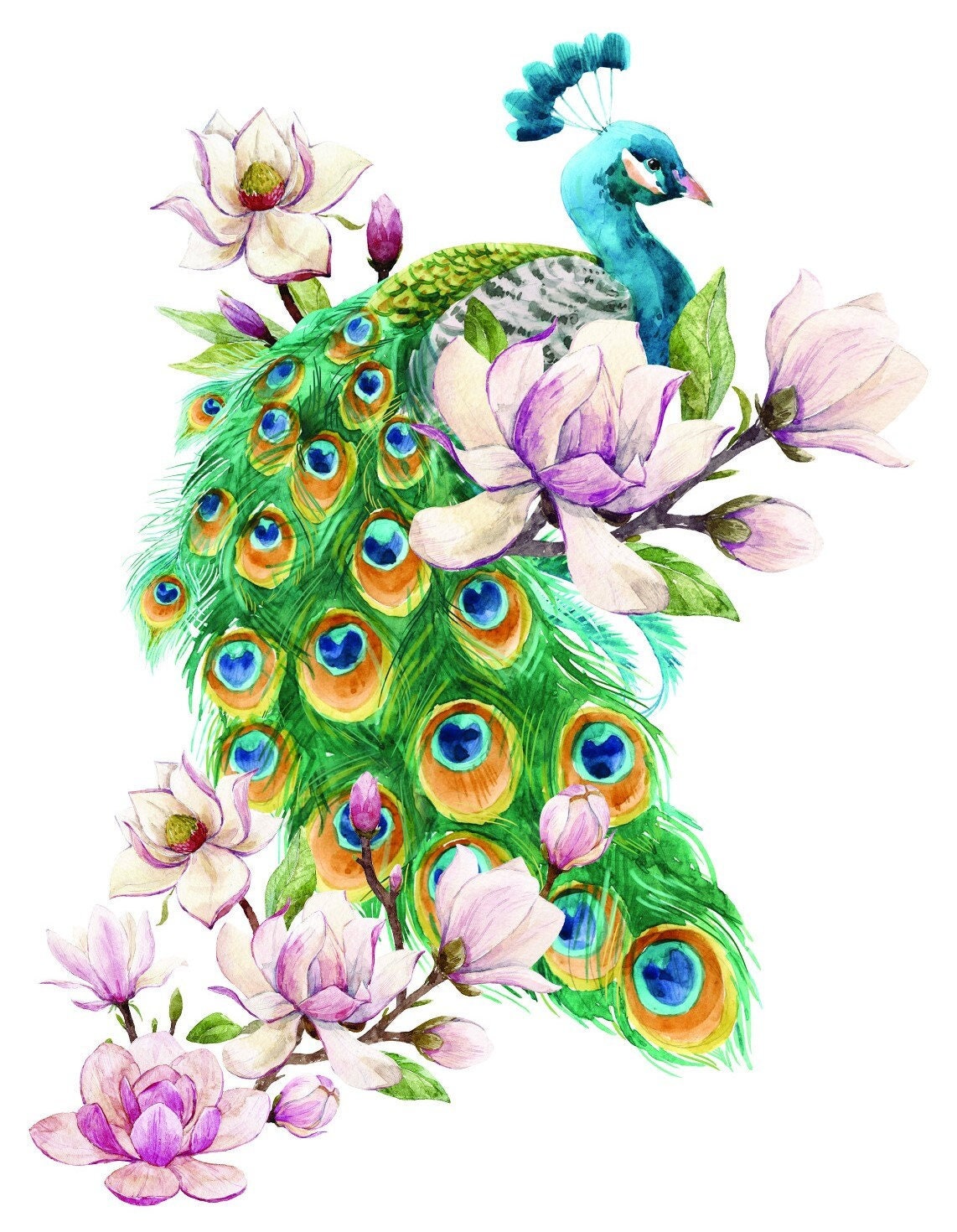 peacock furniture transfer