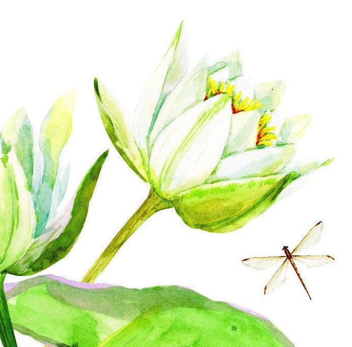 Easy Furniture Transfer - Decor Transfer - Furniture Upcycling - Floral Transfer - Watercolor Dragonfly