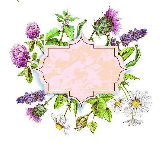 Easy Furniture Transfer - Decor Transfer - Furniture Upcycling - Floral Transfer - Herbal Frame