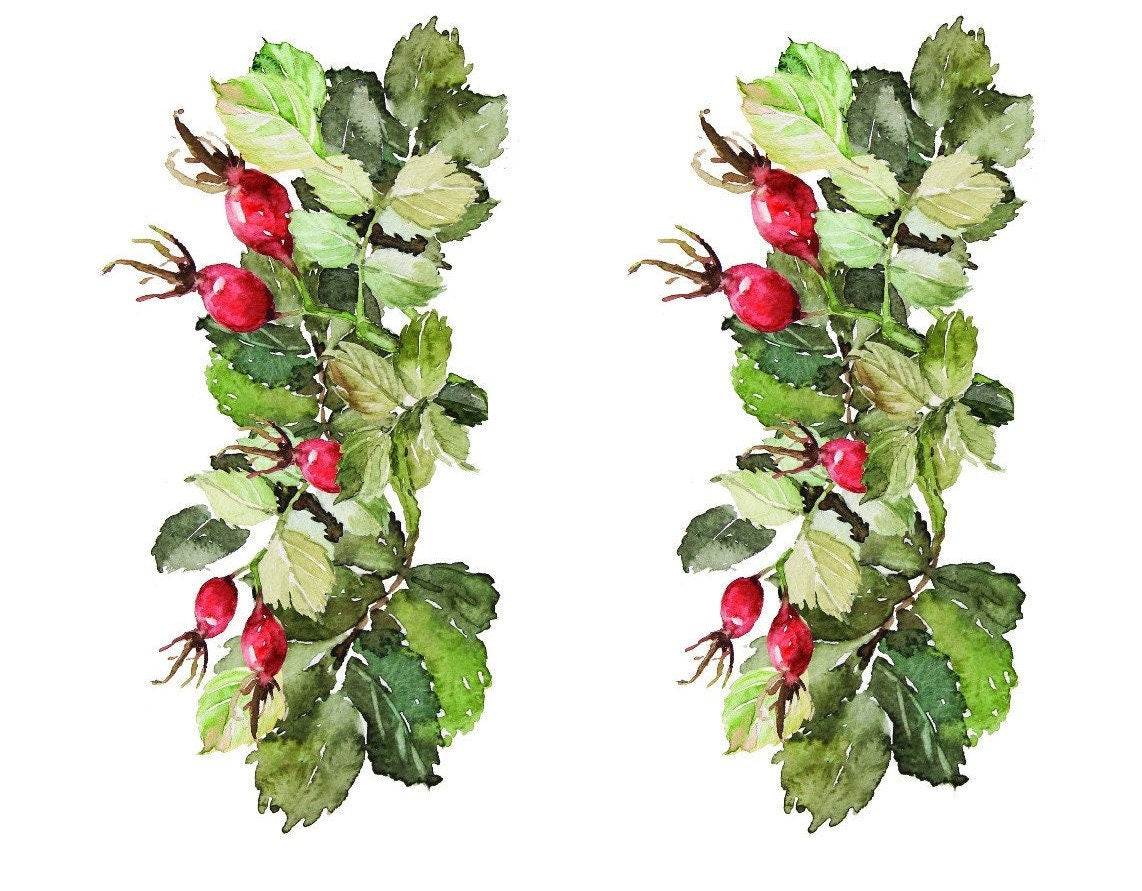 Easy Furniture Transfer - Decor Transfer - Furniture Upcycling - Floral Transfer - Christmas Plant