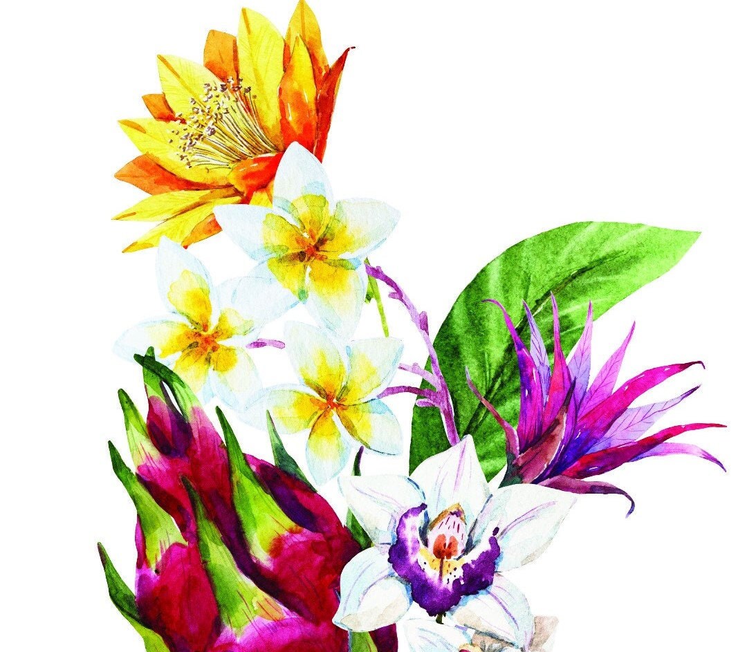 Easy Furniture Transfer - Decor Transfer - Furniture Upcycling - Floral Transfer - Exotic Flowers