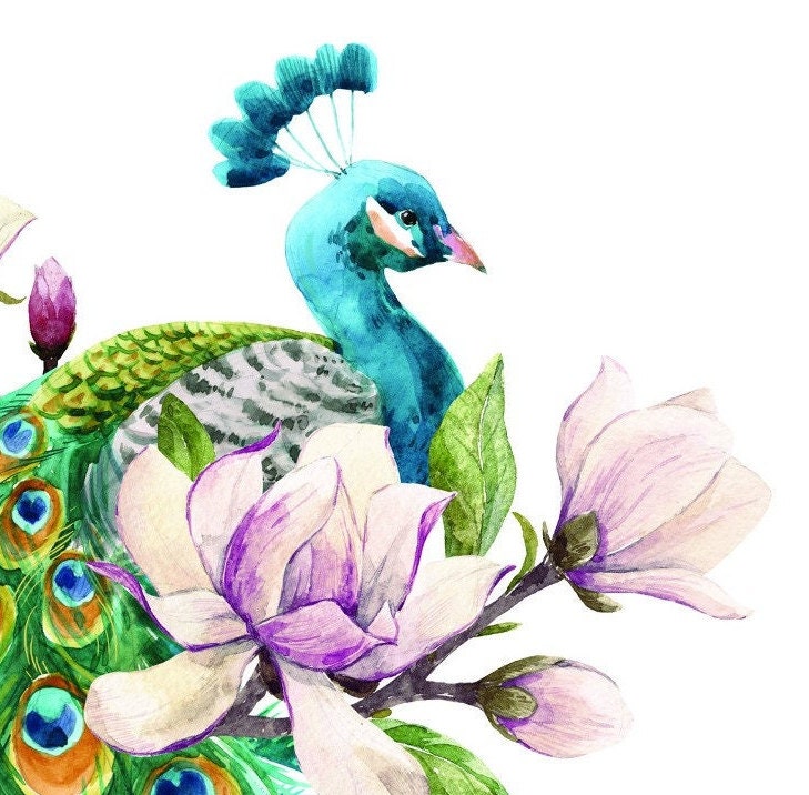 Easy Furniture Transfer - Decor Transfer - Furniture Upcycling - Floral Transfer - Peacock