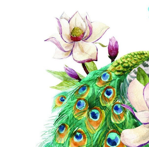 peacock furniture transfer