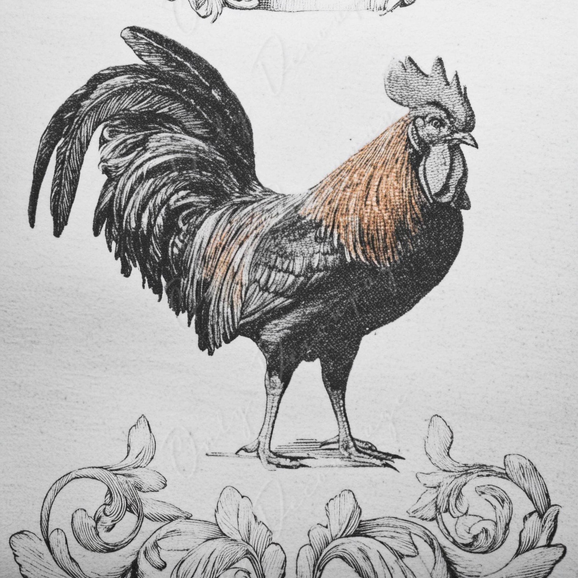 Large Decoupage Paper for Furniture - Monochrome Rooster - Rice Paper - Decoupage Paper