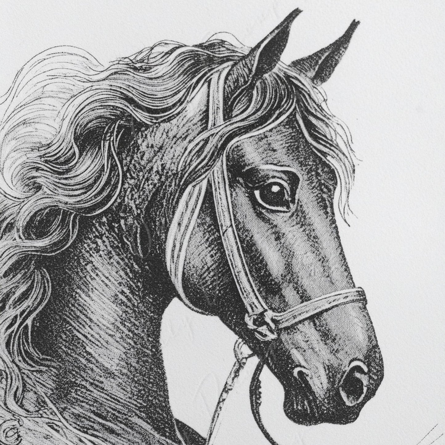 Large Decoupage Paper for Furniture - Horse Portrait - Rice Paper - Decoupage Paper - Black & White