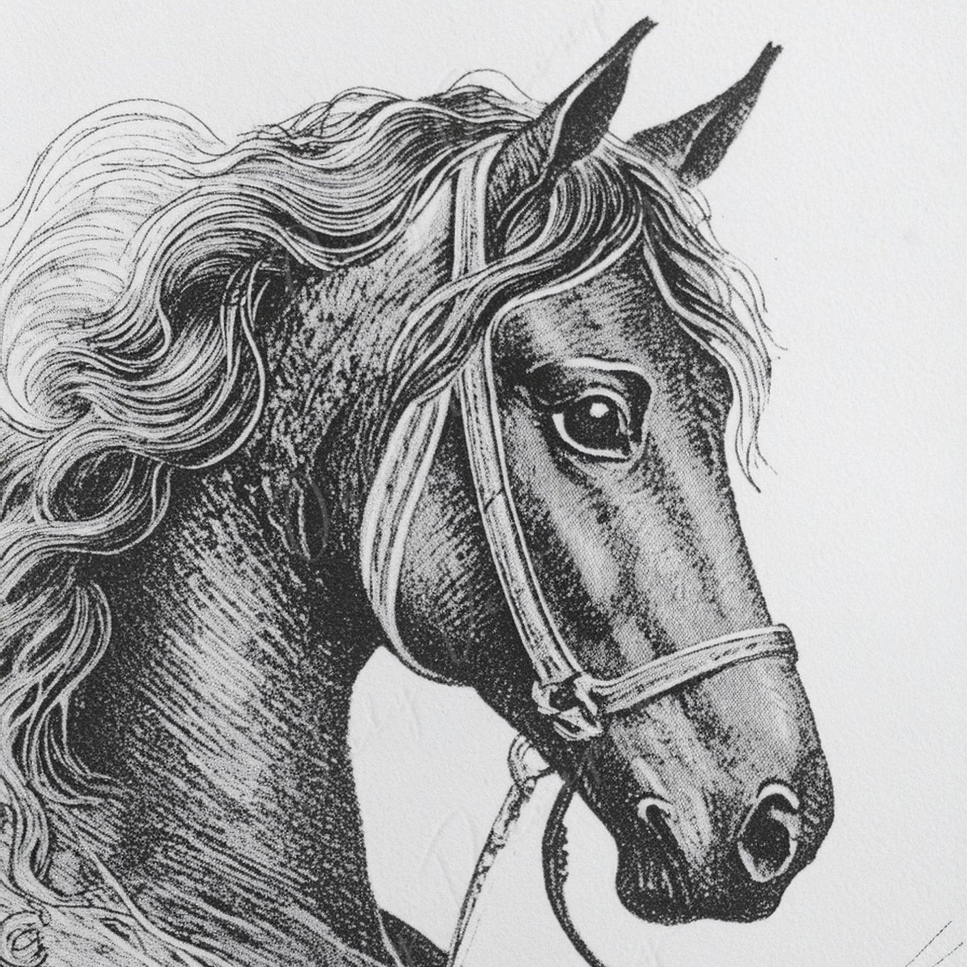 Large Decoupage Paper for Furniture - Horse Portrait - Rice Paper - Decoupage Paper - Black & White