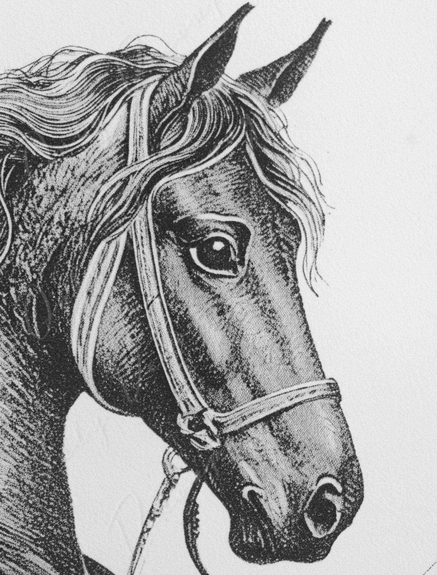 Large Decoupage Paper for Furniture - Horse Portrait - Rice Paper - Decoupage Paper - Black & White