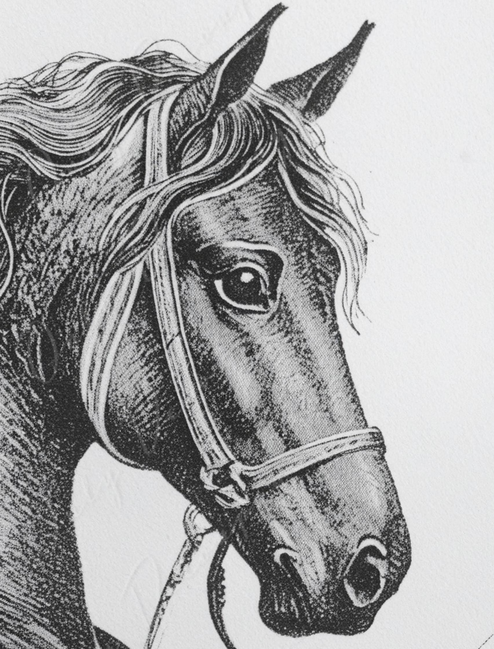Large Decoupage Paper for Furniture - Horse Portrait - Rice Paper - Decoupage Paper - Black & White