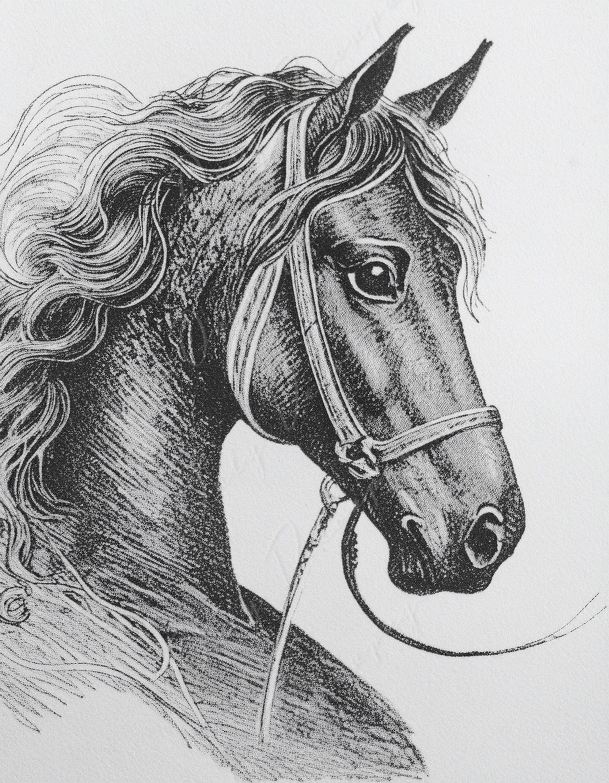 Large Decoupage Paper for Furniture - Horse Portrait - Rice Paper - Decoupage Paper - Black & White