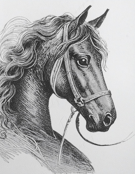 Large Decoupage Paper for Furniture - Horse Portrait - Rice Paper - Decoupage Paper - Black & White