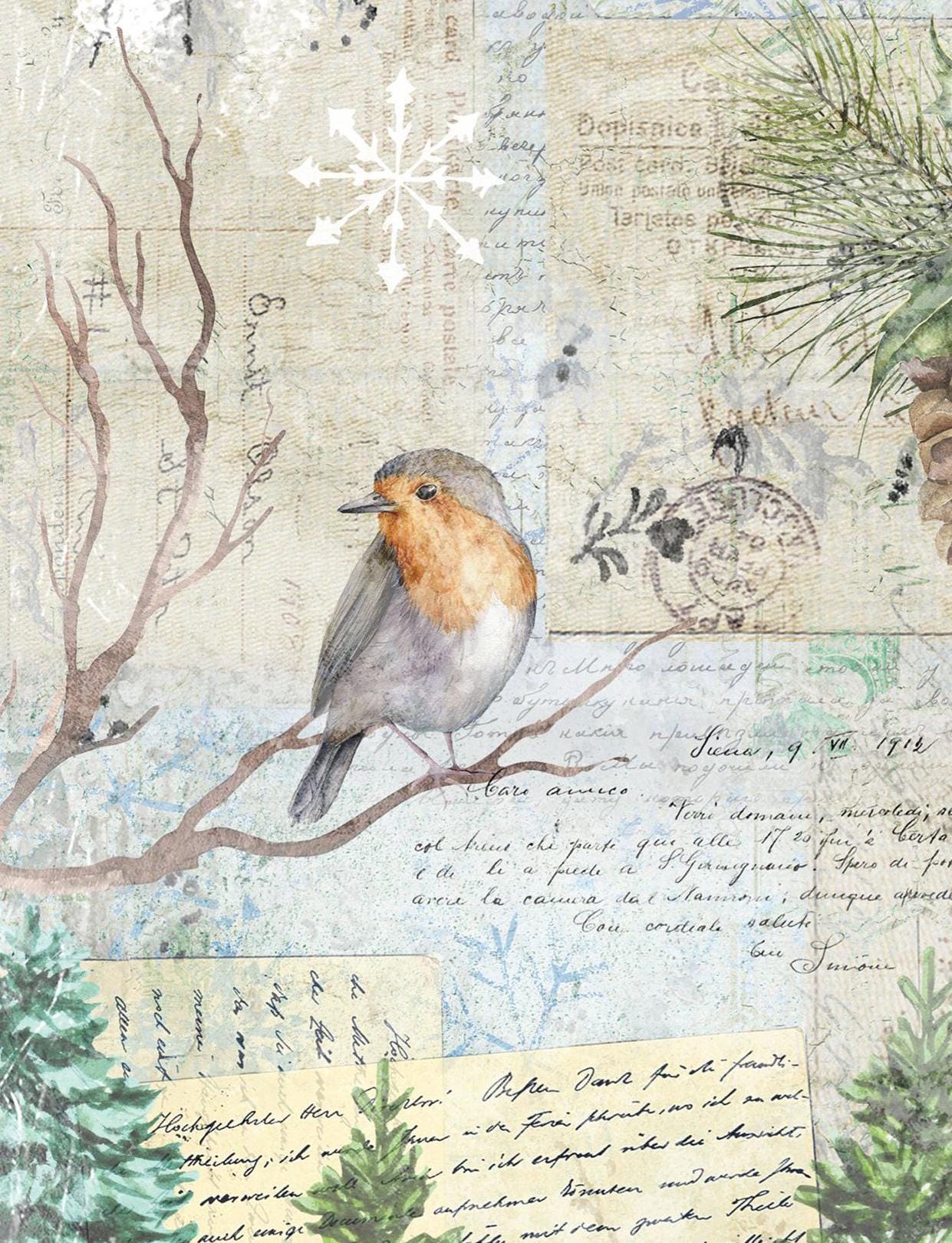 Large Decoupage Paper - Christmas Collection - Bird - Cone - 6 Size Options