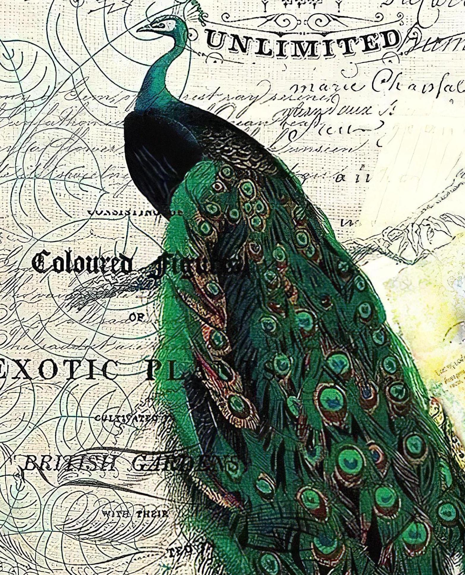 Peacock - Decorative Decoupage Paper - for Furniture - Big Size Options [ Green White ]