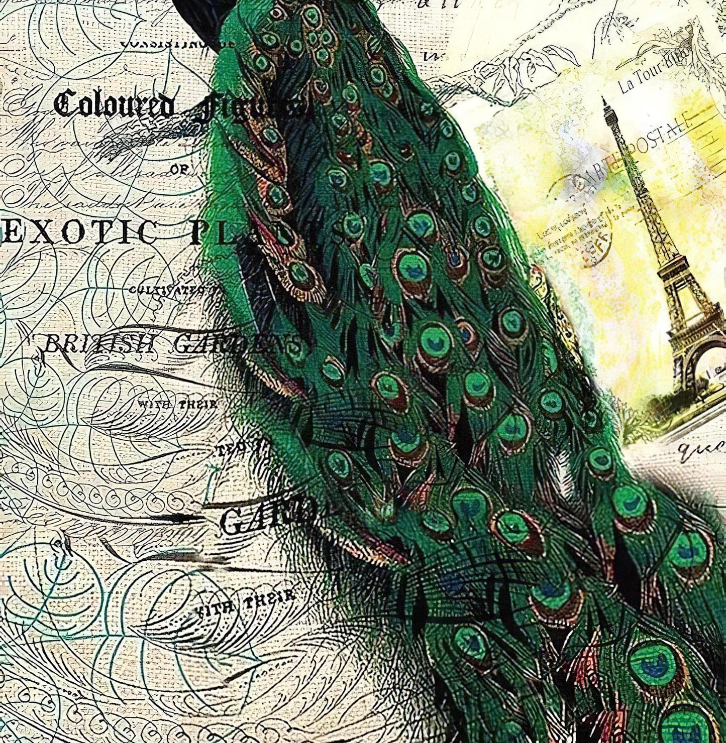 Peacock - Decorative Decoupage Paper - for Furniture - Big Size Options [ Green White ]