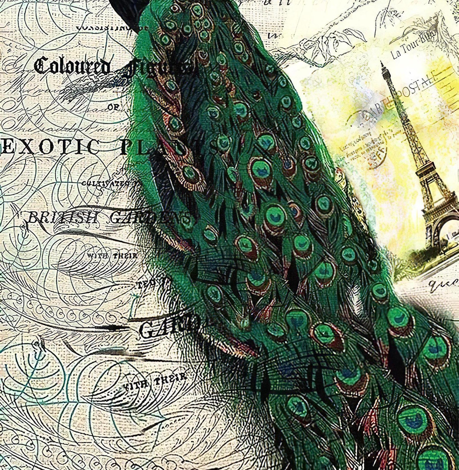 Peacock - Decorative Decoupage Paper - for Furniture - Big Size Options [ Green White ]