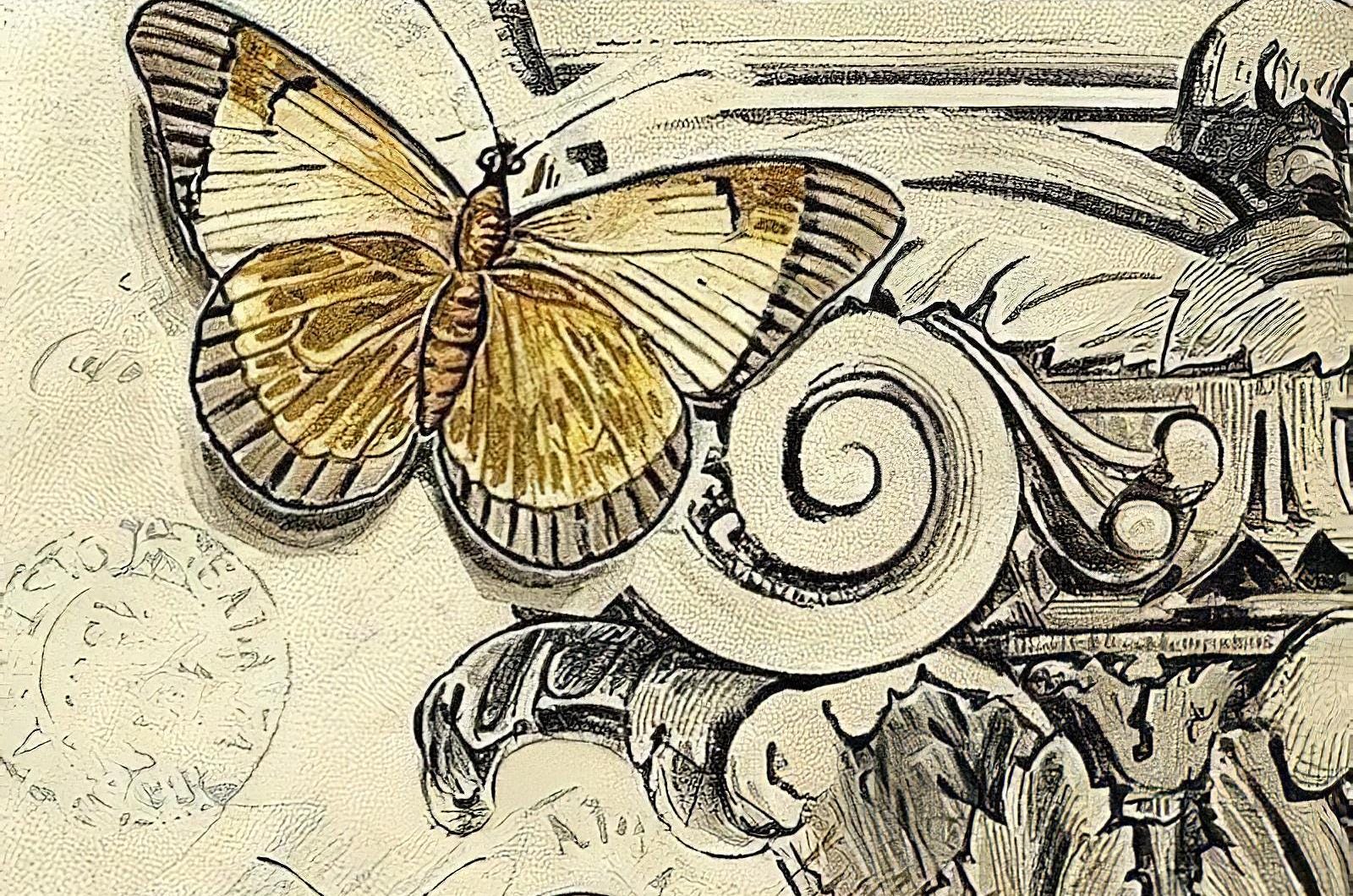 Butterfly - Antique Car - Decorative Decoupage Paper - for Furniture - Big Size Options [ Yellow Beige Red ]