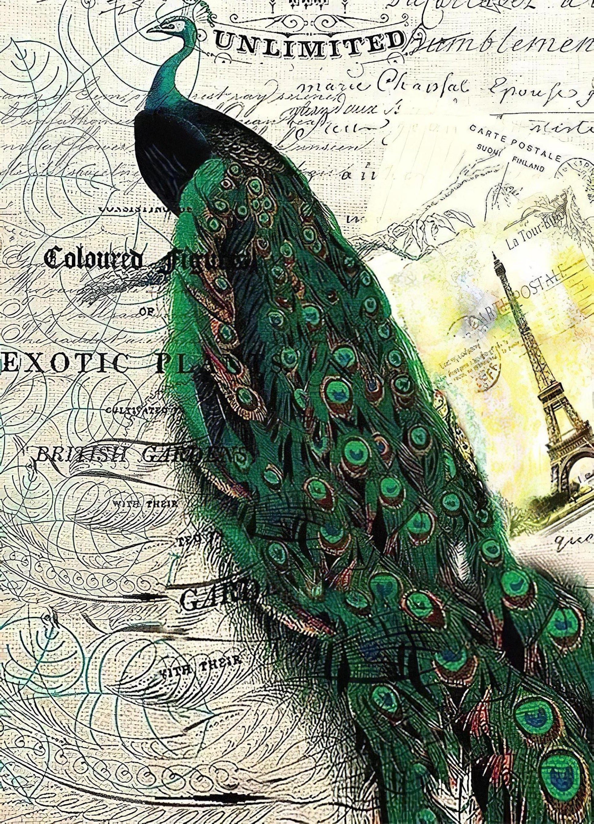 peacock decoupage paper