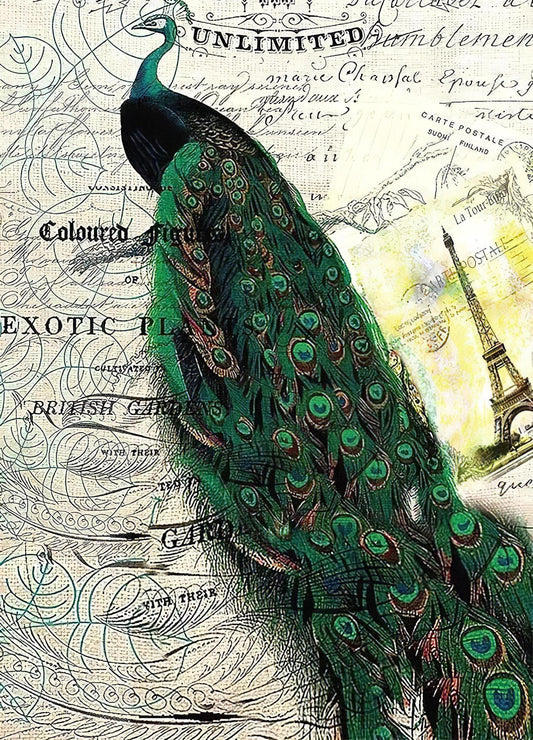 peacock decoupage paper