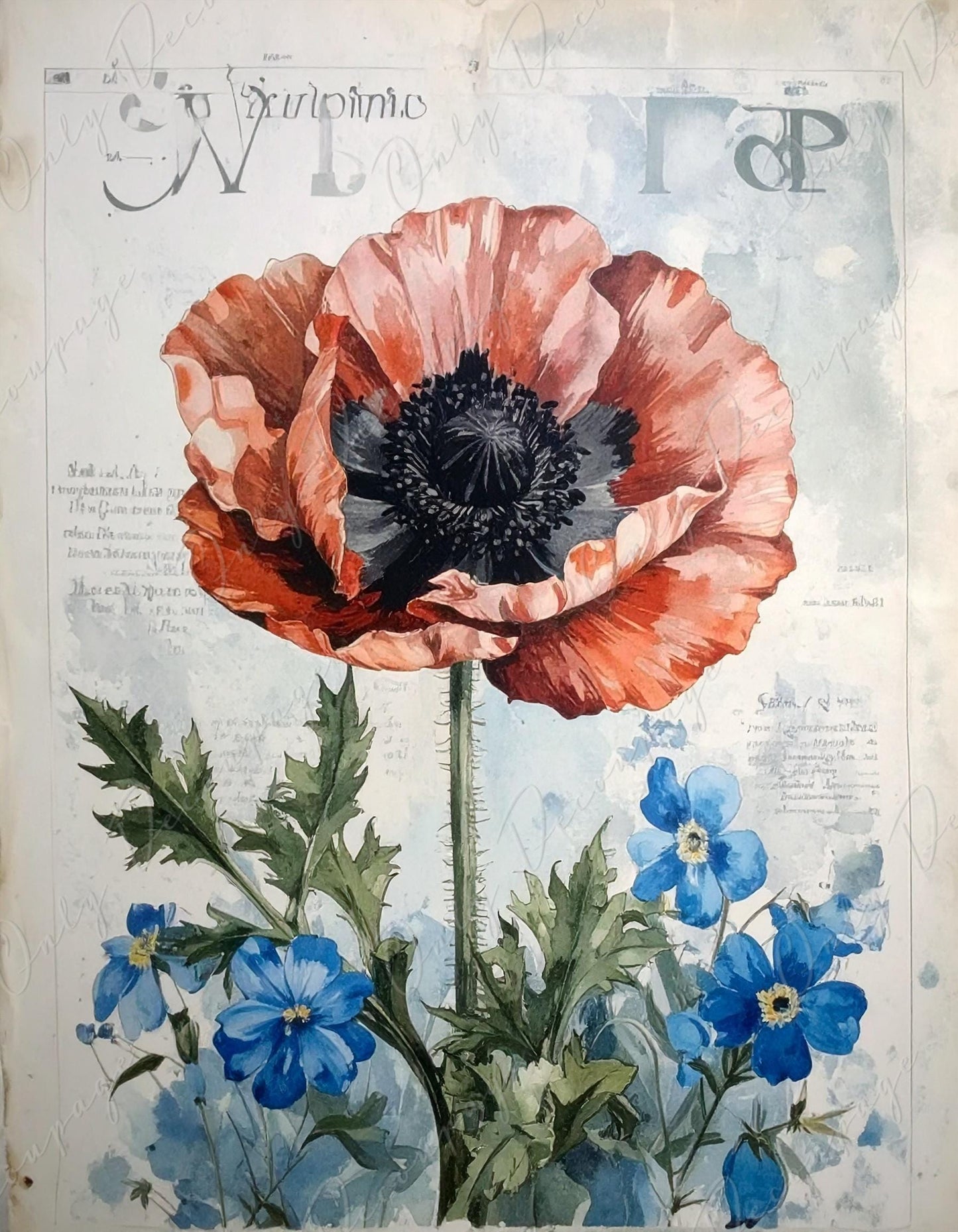 Botanical Art - 7 Size Options - Large Decoupage Paper for Furniture - Red Poppy - Blue Flowers