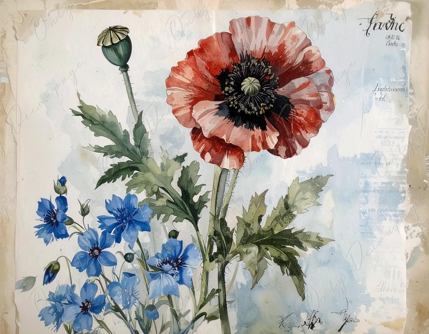 Botanical Art - 7 Size Options - Large Decoupage Paper for Furniture - Red Poppy - Blue Flowers