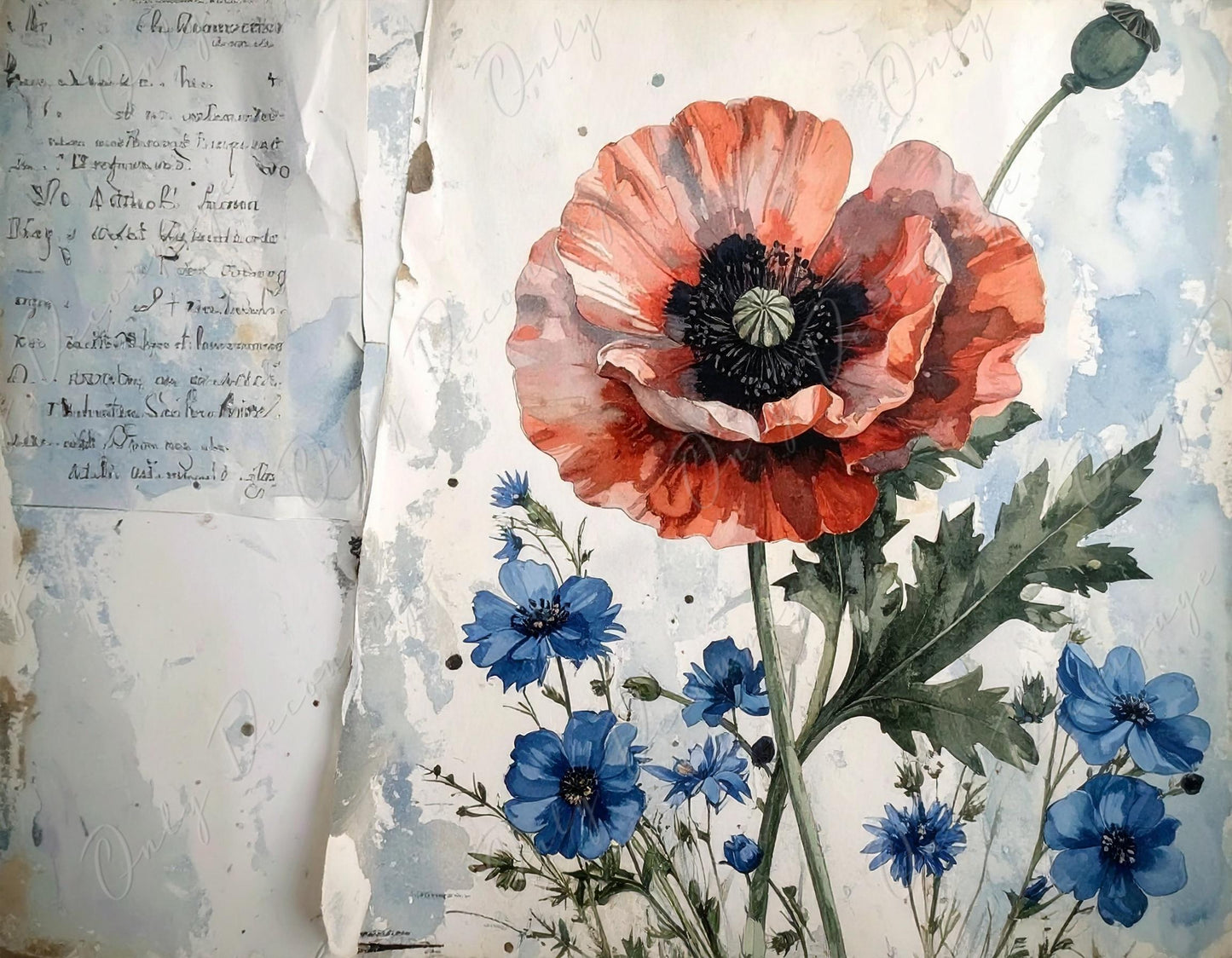 Botanical Art - 7 Size Options - Large Decoupage Paper for Furniture - Red Poppy - Blue Flowers