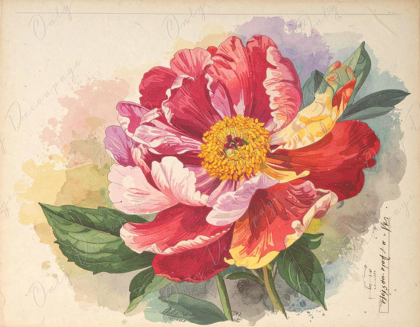 Botanical Art - 7 Size Options - Large Decoupage Paper for Furniture - Floral Decoupage