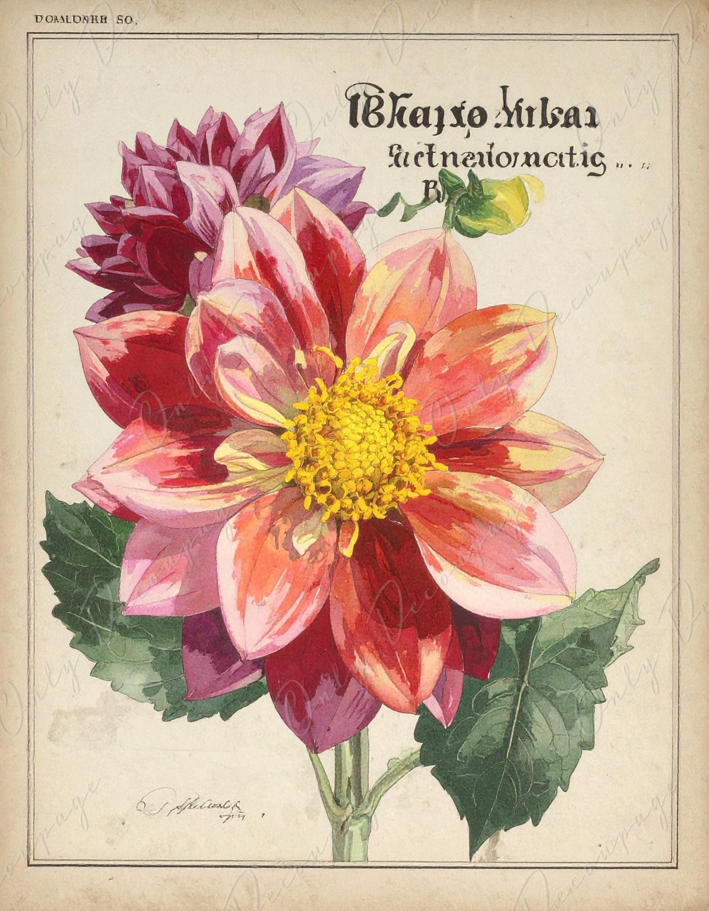 Botanical Art - 7 Size Options - Large Decoupage Paper for Furniture - Floral Decoupage