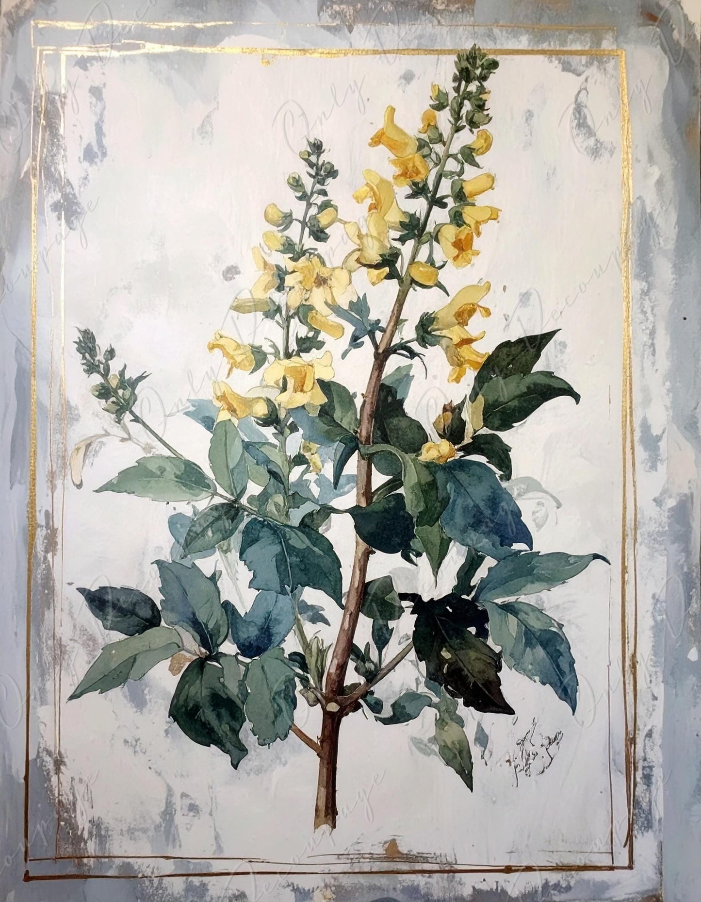 Watercolor Botanical Art - 7 Size Options - Large Decoupage Paper for Furniture - Antique Floral Illustration