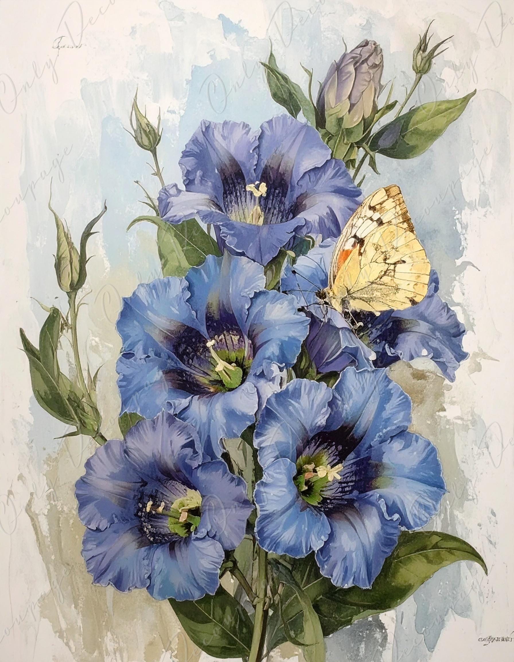 Watercolor Botanical Art - 7 Size Options - Large Decoupage Paper for Furniture - Antique Floral Illustration - Butterfly