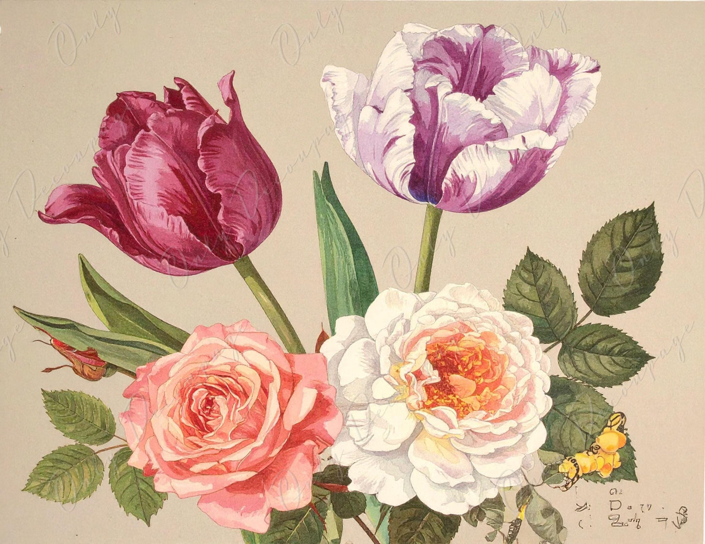 Botanical Art - 7 Size Options - Large Decoupage Paper for Furniture - Floral Decoupage