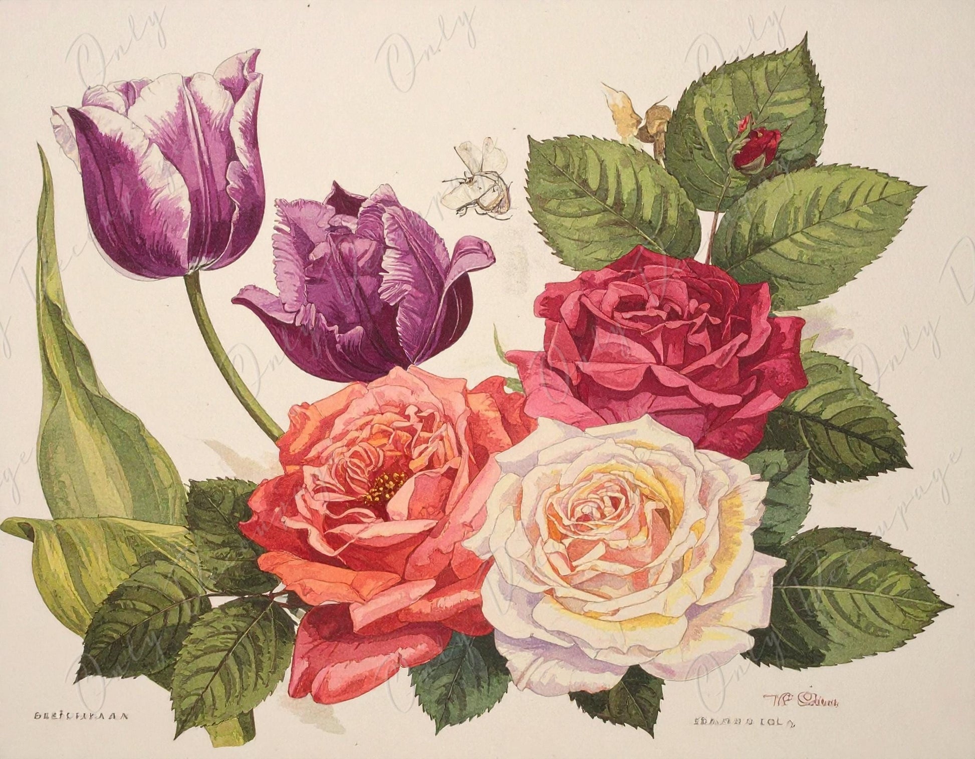 Botanical Art - 7 Size Options - Large Decoupage Paper for Furniture - Floral Decoupage - Roses
