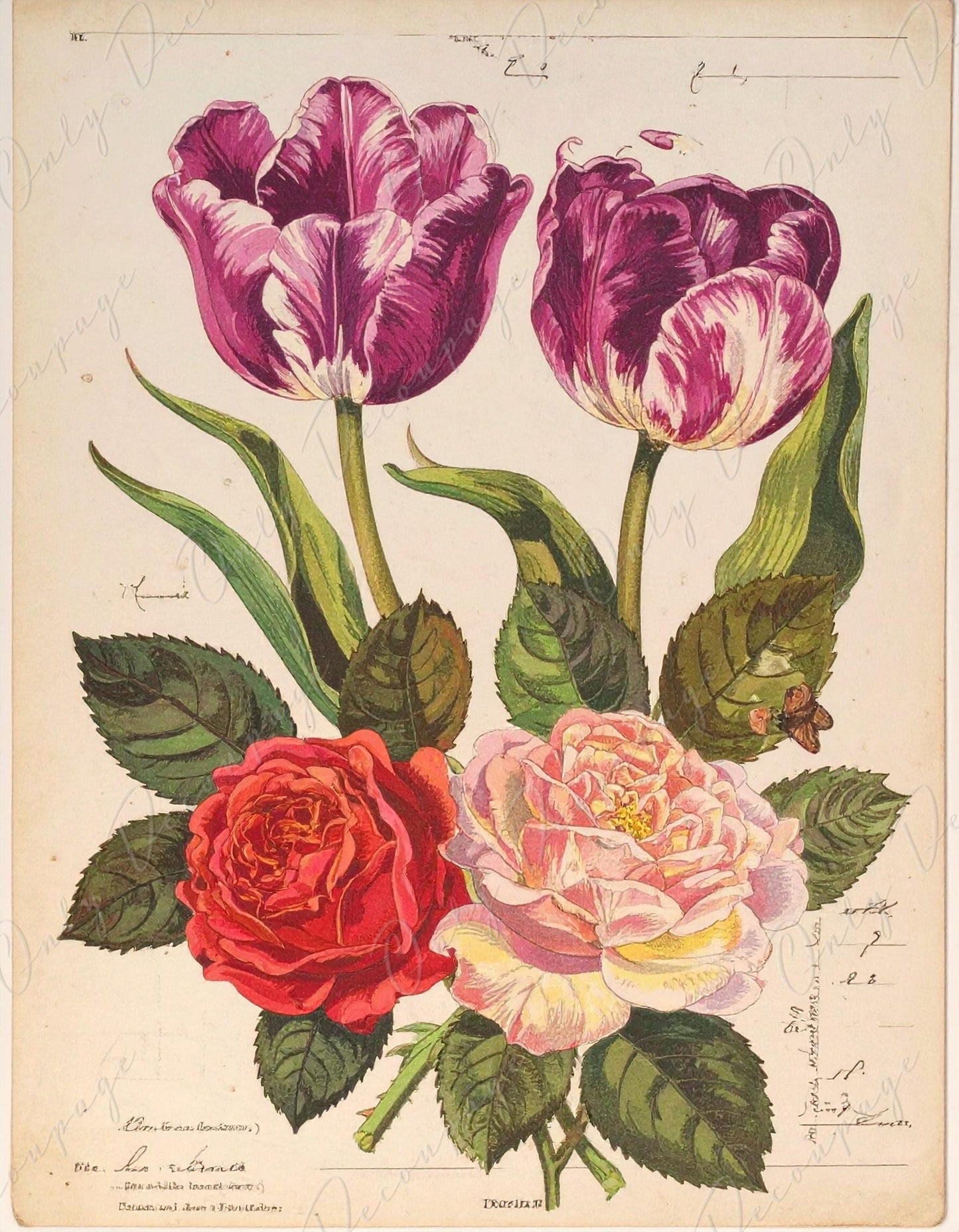 Botanical Art - 7 Size Options - Large Decoupage Paper for Furniture - Floral Decoupage - Pastel Roses & Tulips