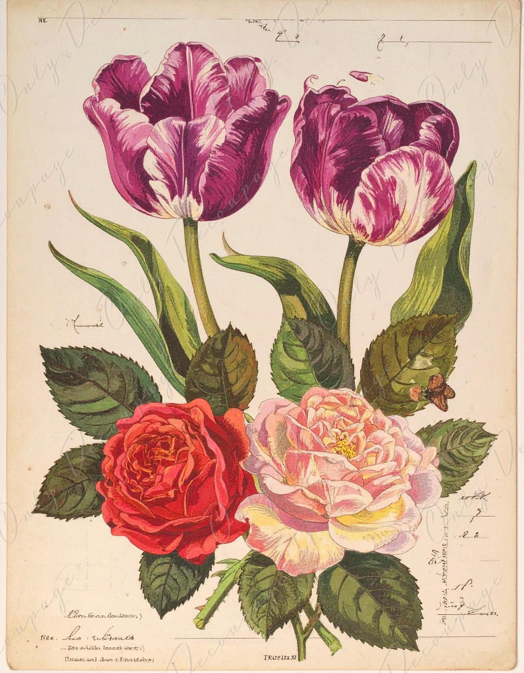 Botanical Art - 7 Size Options - Large Decoupage Paper for Furniture - Floral Decoupage - Pastel Roses & Tulips
