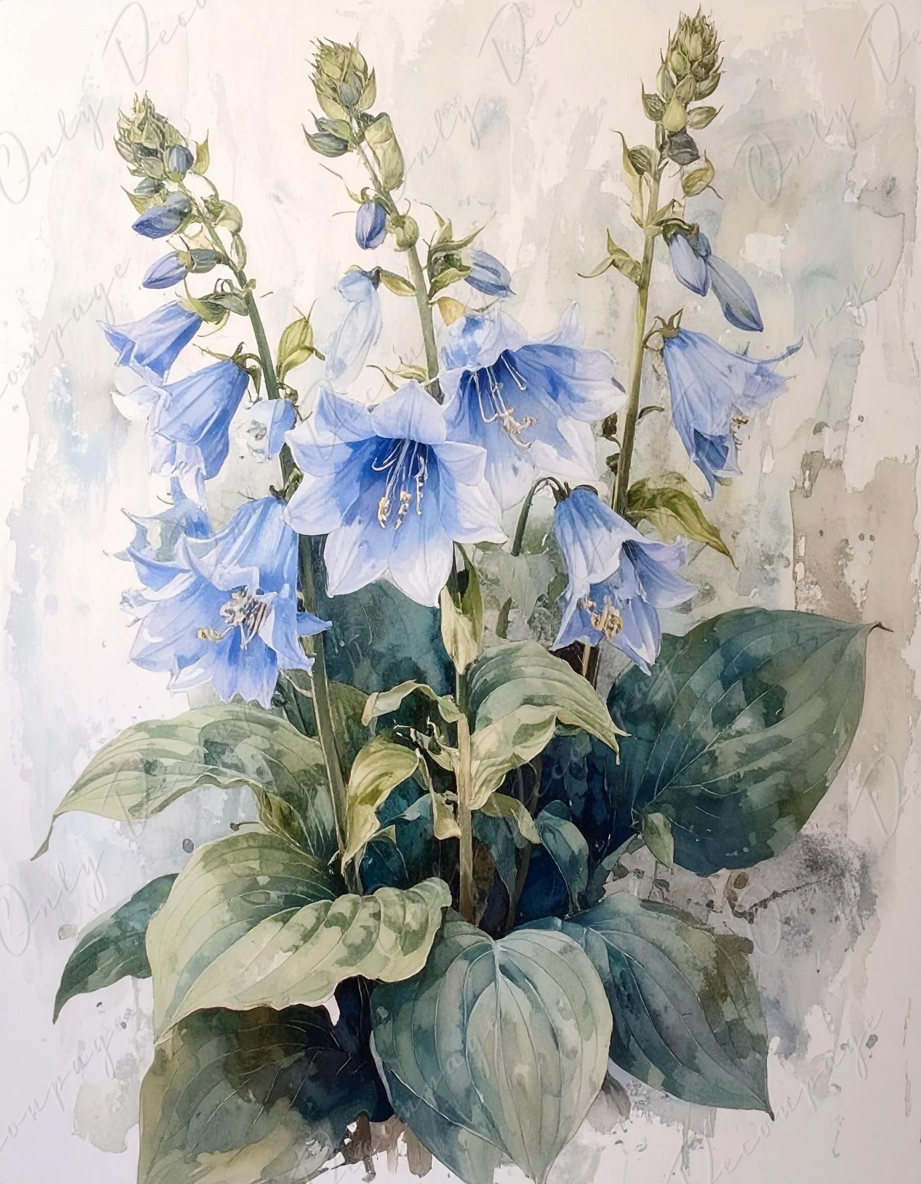 Botanical Art - 7 Size Options - Large Decoupage Paper for Furniture - Floral Decoupage - Blue Hosta