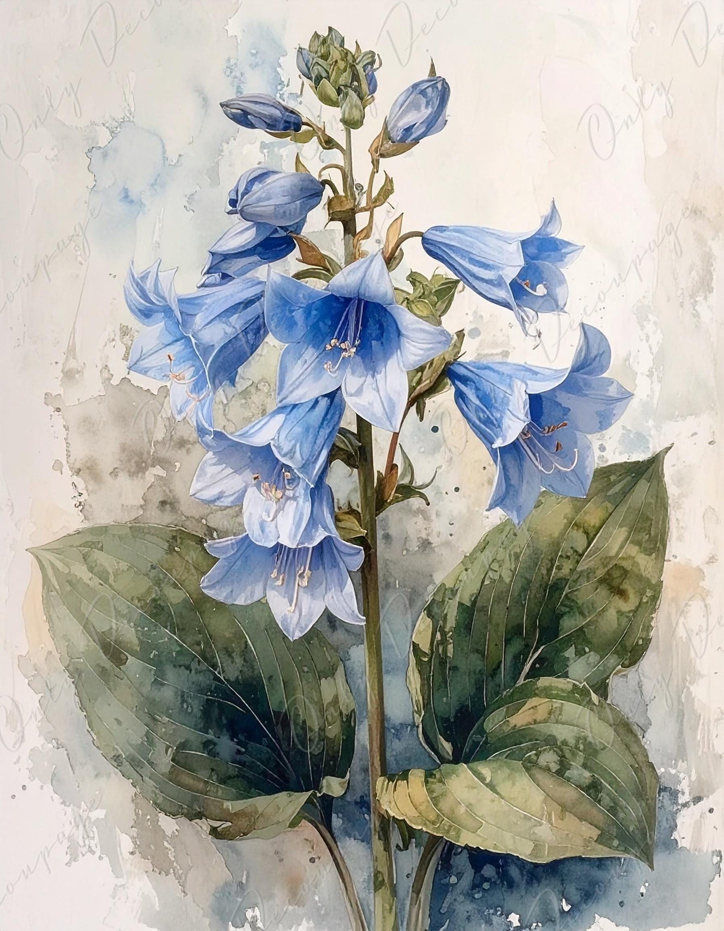 Large Decoupage Paper for Furniture - 7 Size Options - Botanical Art - Floral Decoupage - Blue Hosta