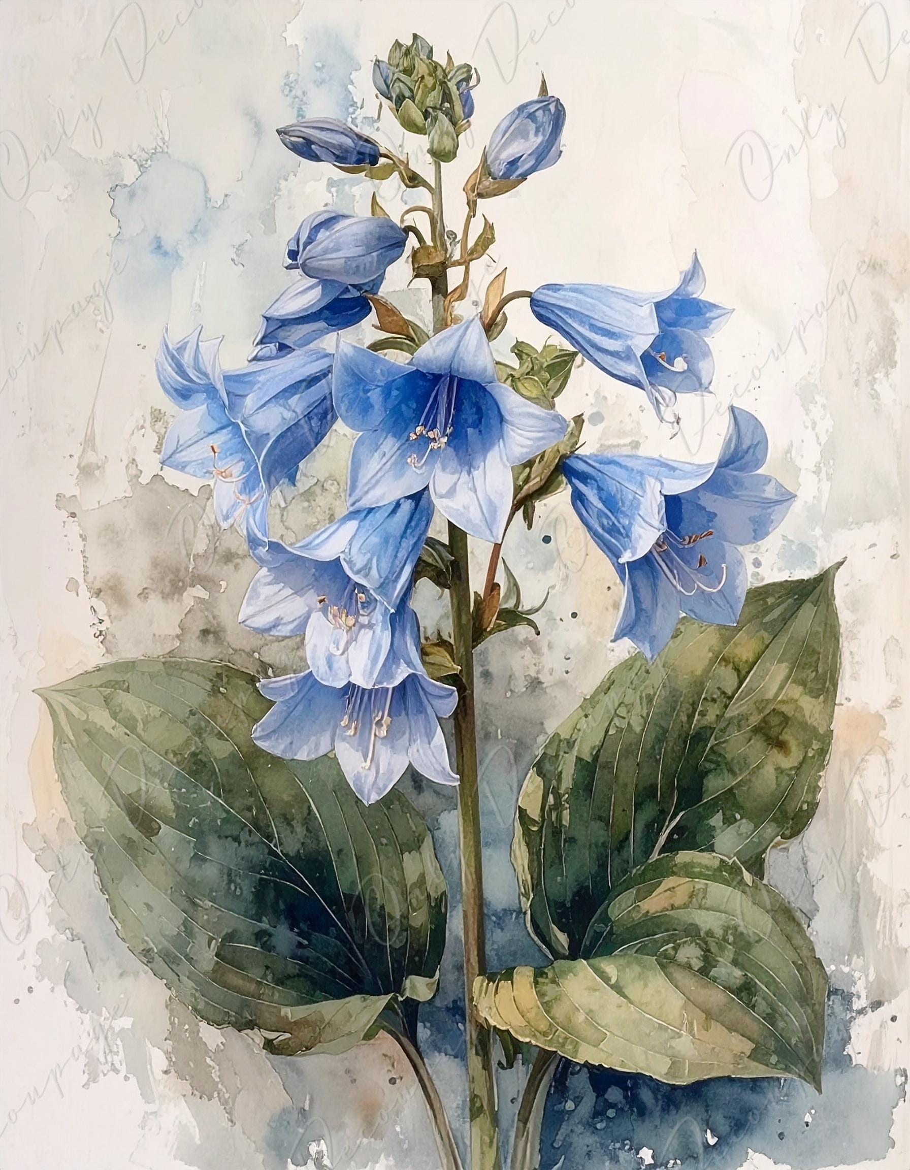 Large Decoupage Paper for Furniture - 7 Size Options - Botanical Art - Floral Decoupage - Blue Hosta