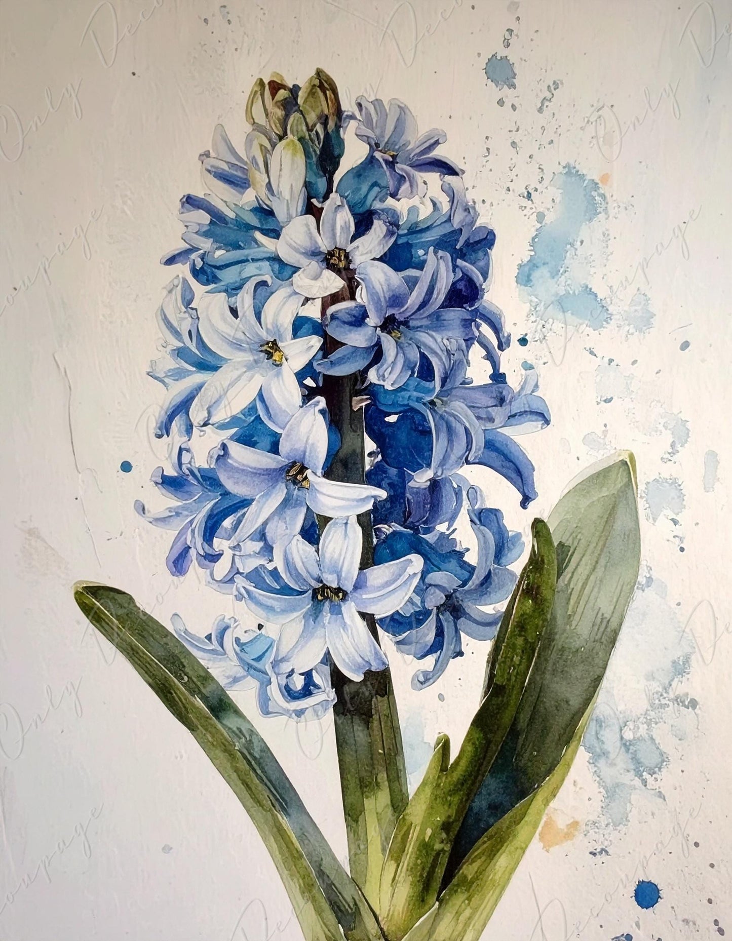 Decoupage Paper for Furniture - 7 Size Options - Botanical Art - Floral Decoupage - Blue Hyacinth