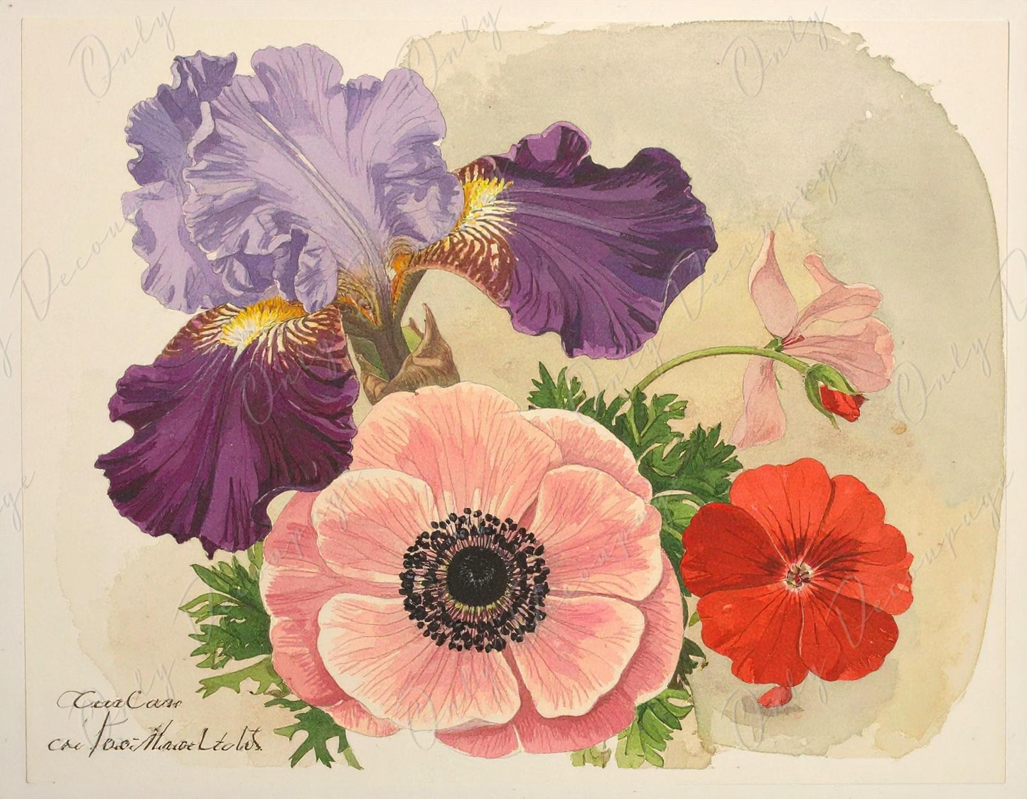 Decoupage Paper for Furniture - 7 Size Options - Botanical Art - Floral Decoupage - Bouquet of Flowers