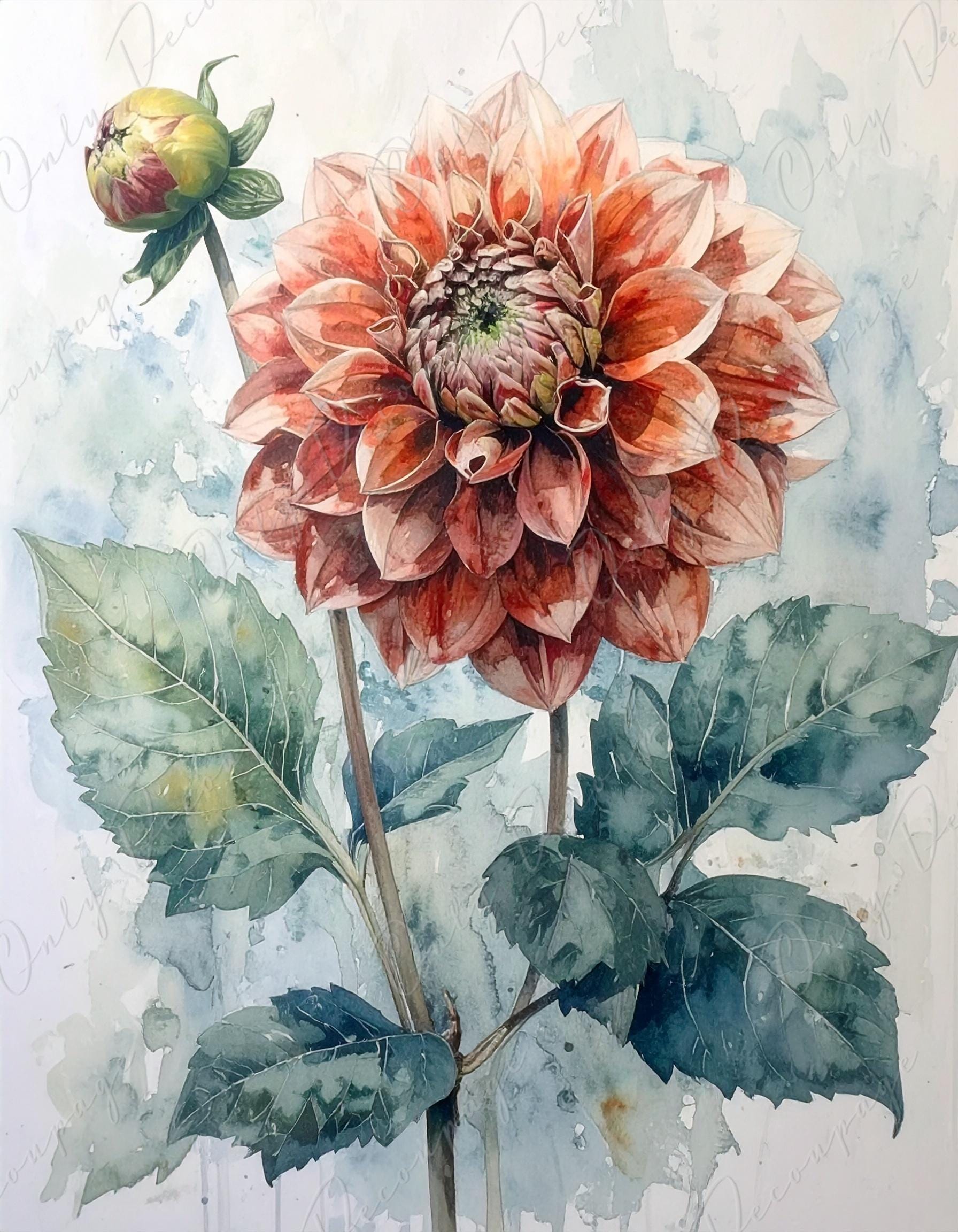 Red Dahlia - Decoupage Paper for Furniture - 7 Size Options - Botanical Art