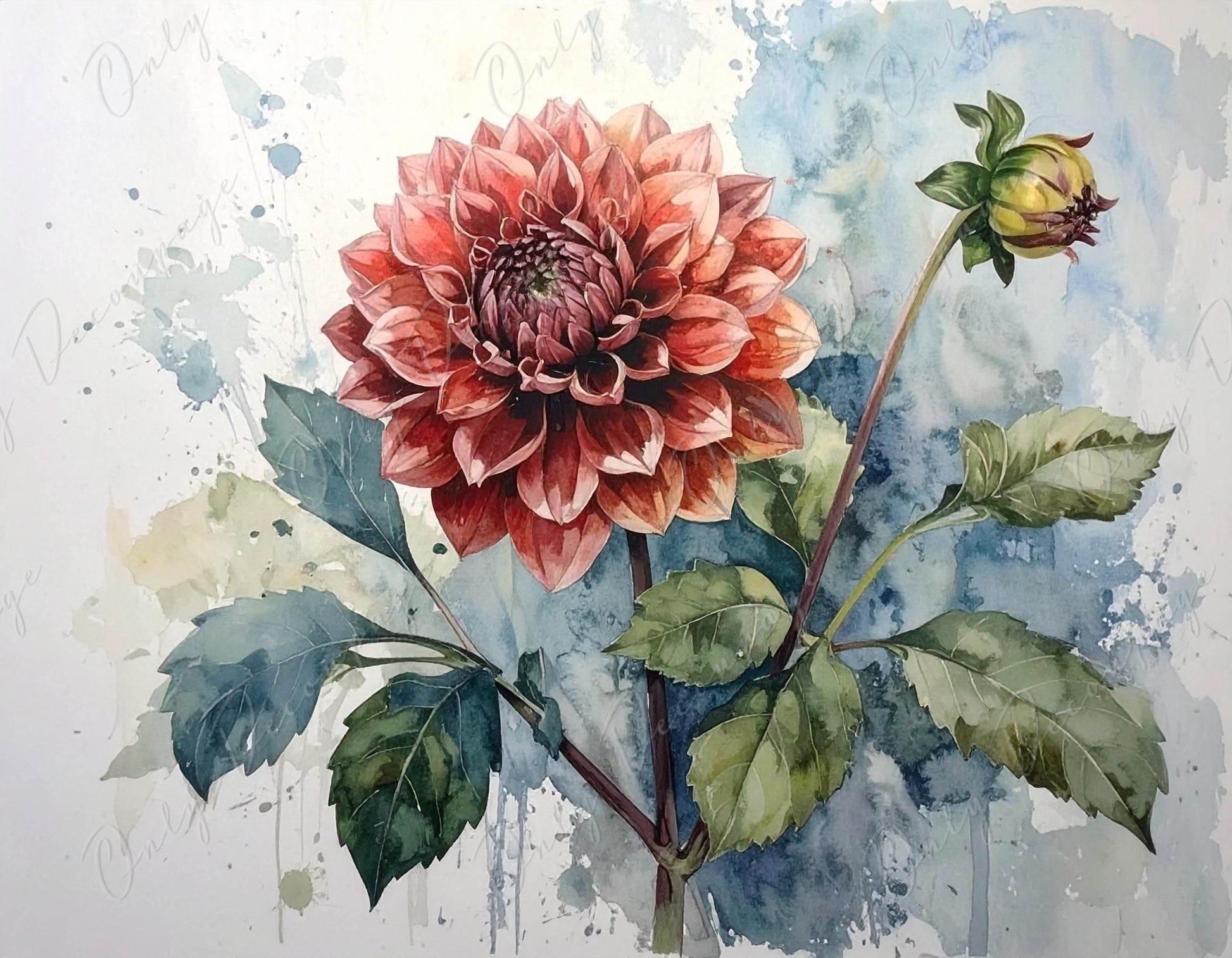 Red Dahlia - Decoupage Paper for Furniture - 7 Size Options - Botanical Art