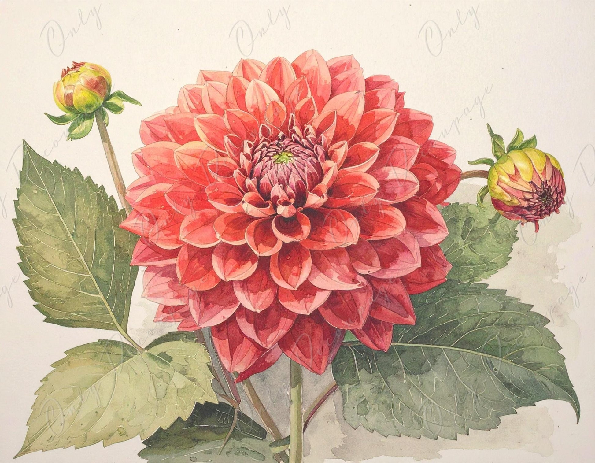 Red Dahlia - Decoupage Paper for Furniture - 7 Size Options - Botanical Art