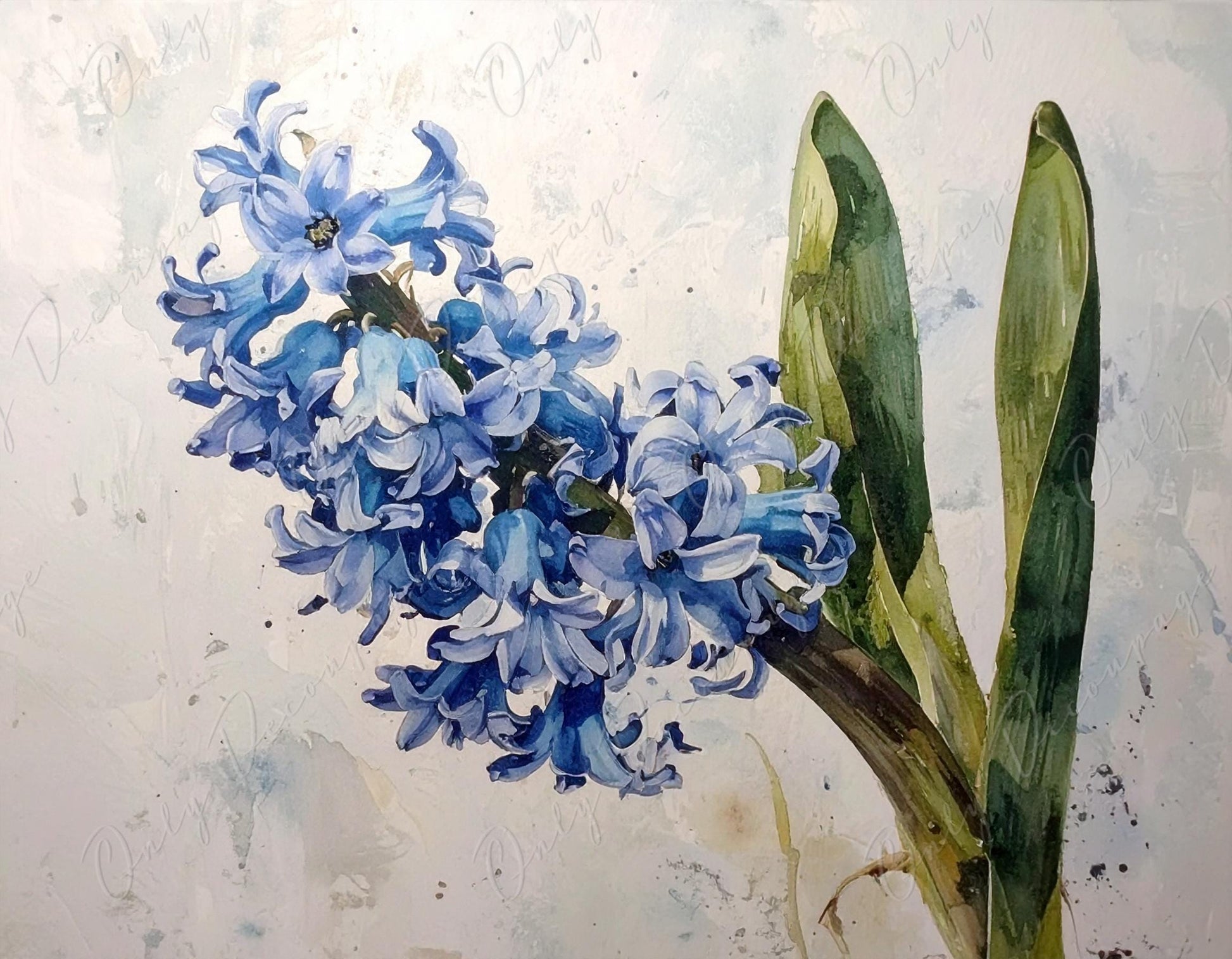 Decoupage Paper for Furniture - 7 Size Options - Botanical Art - Pastel Blue Hyacinth Flower