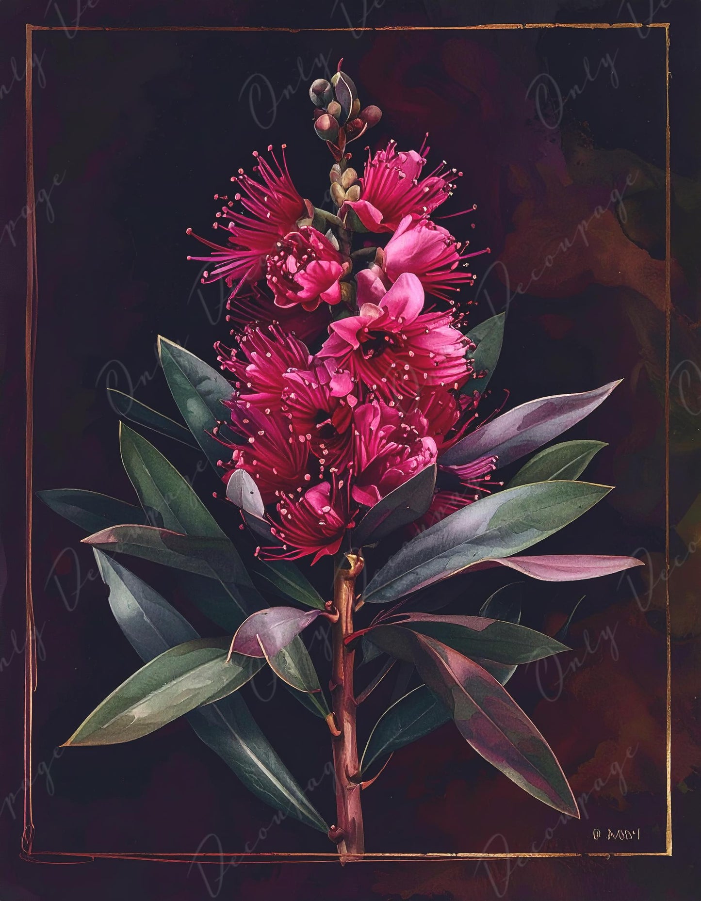NEW! Chiaroscuro - Large Decoupage Paper for Furniture - 7 Size Options - Crimson - Chiaroscuro