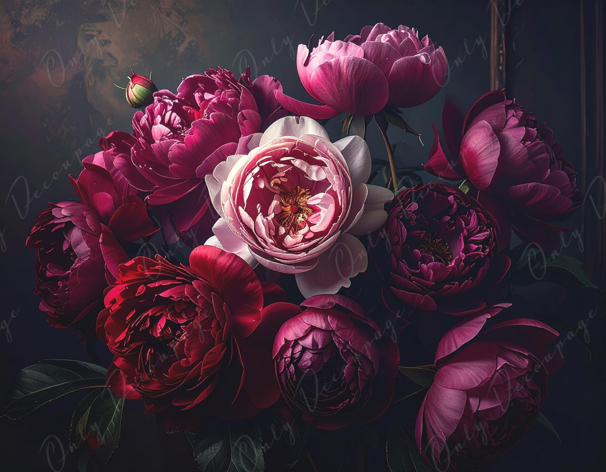 Crimson - Large Decoupage Paper for Furniture - 7 Size Options - Chiaroscuro - Roses