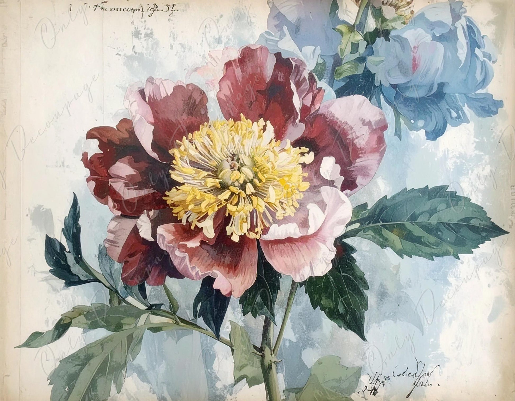 Botanical Art - 7 Size Options - Large Decoupage Paper for Furniture - Red Flower