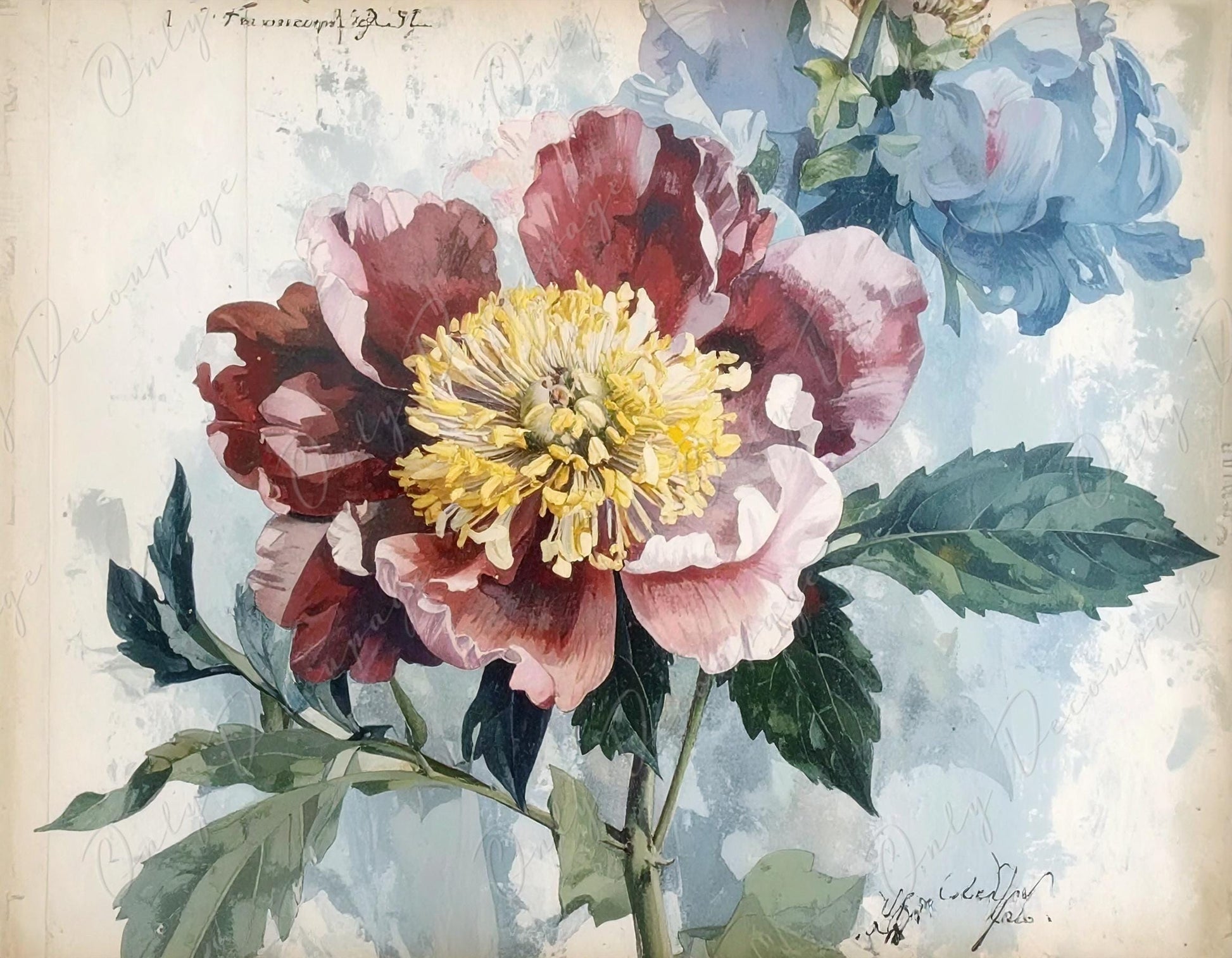 Botanical Art - 7 Size Options - Large Decoupage Paper for Furniture - Red Flower