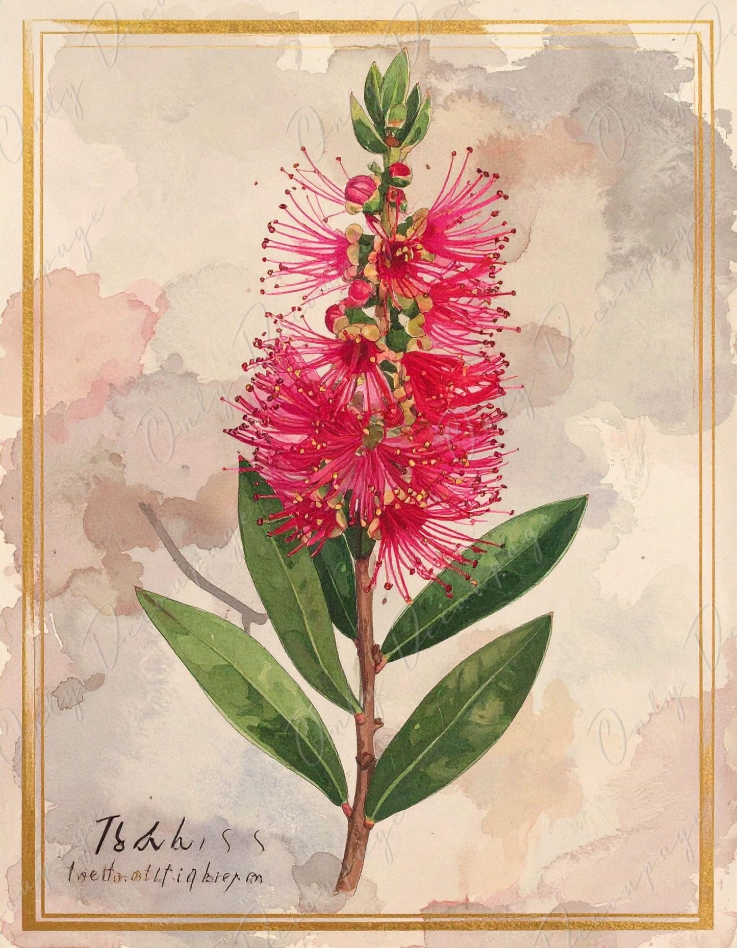Watercolor Botanical Art - 7 Size Options - Large Decoupage Paper for Furniture - Antique Floral Illustration