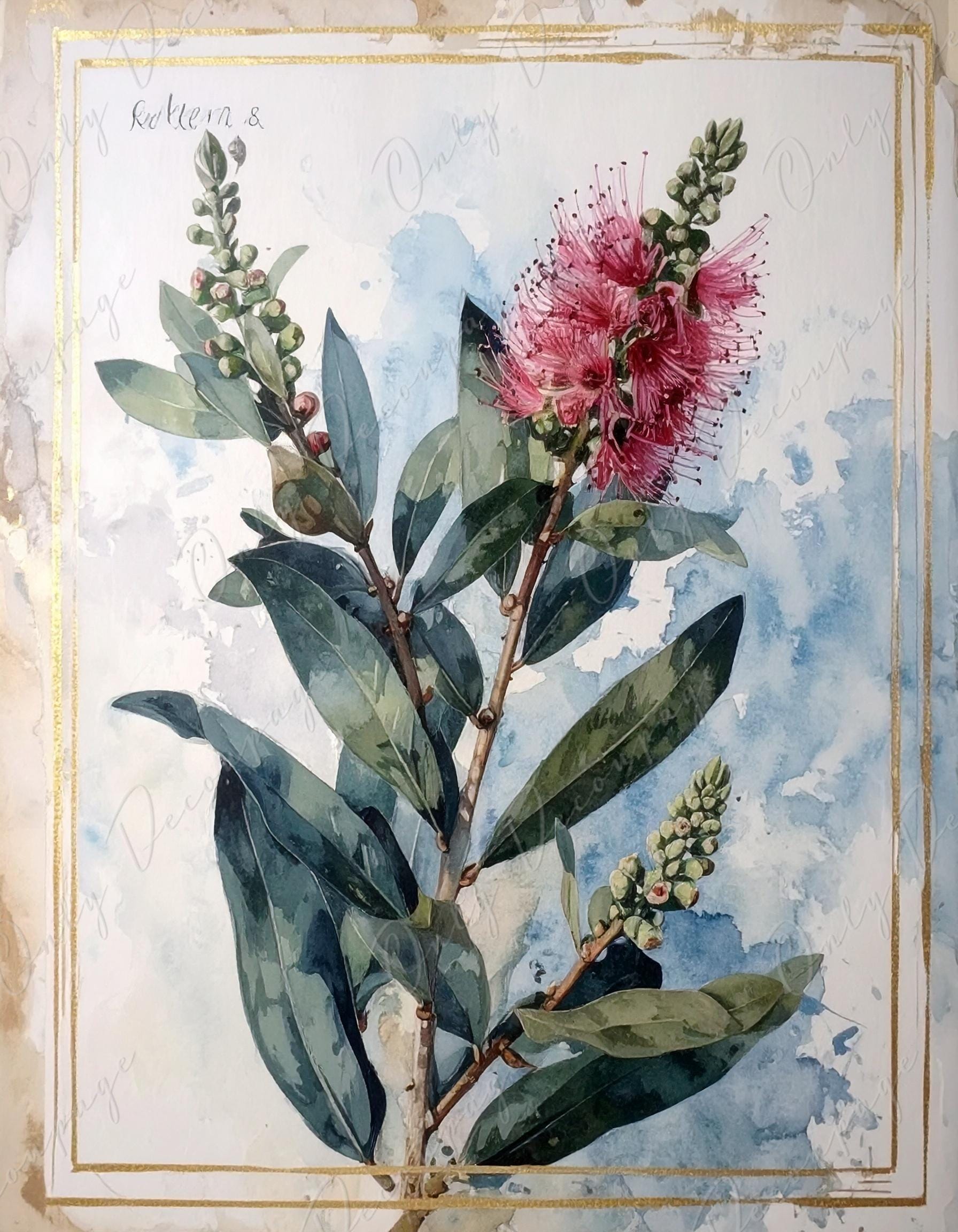 Watercolor Botanical Art - 7 Size Options - Large Decoupage Paper for Furniture - Antique Floral Illustration